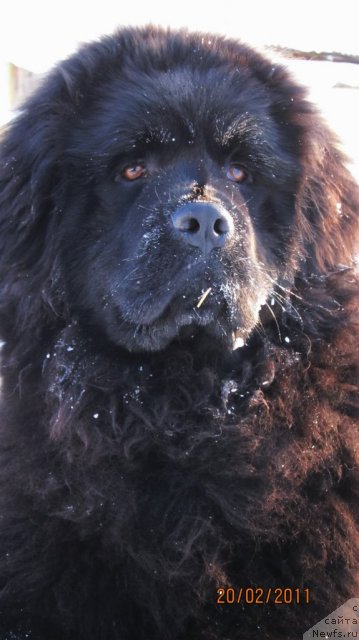 Фотография № 59743