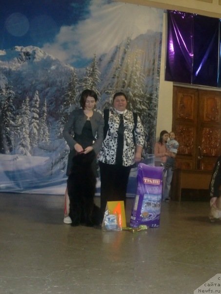 Фотография № 59750