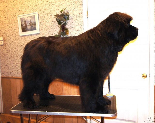 Фотография № 59754