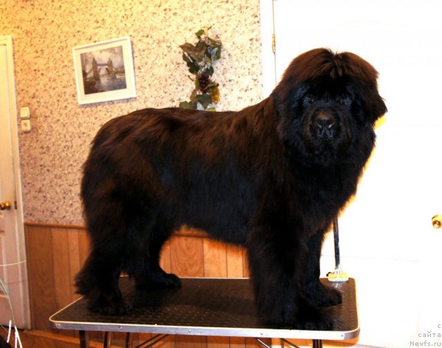 Фотография № 59755