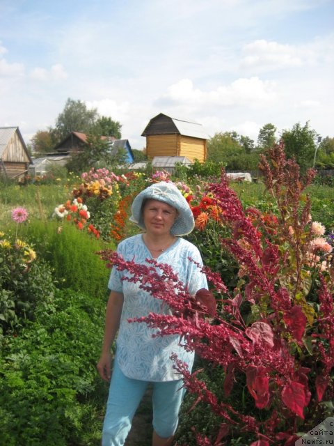 Фотография № 59762