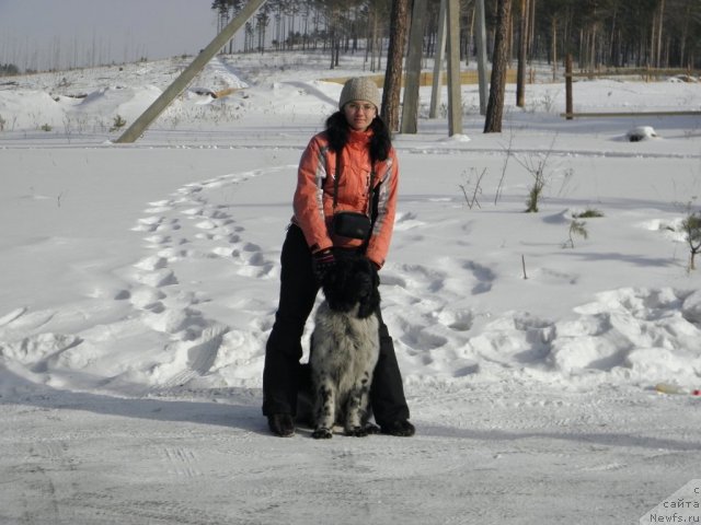 Фотография № 59769