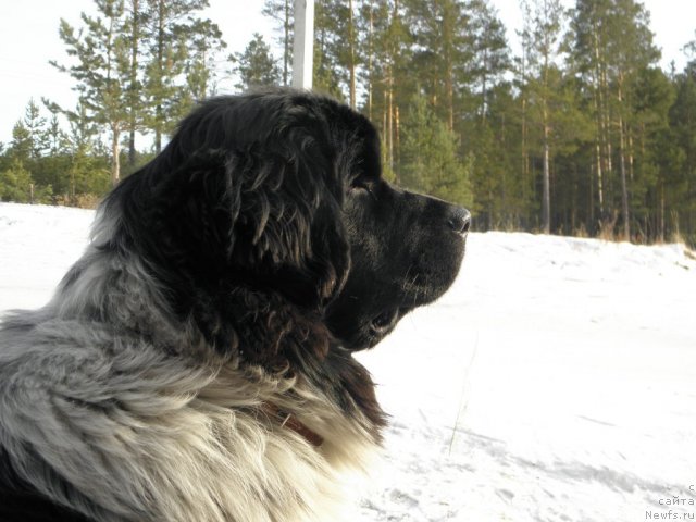 Фотография № 59770