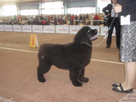 Фотография № 59774