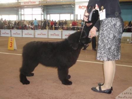 Фотография № 59776