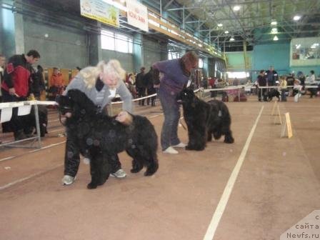 Фотография № 59778