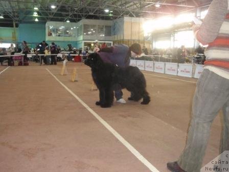 Фотография № 59779