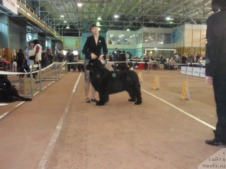 Фотография № 59781