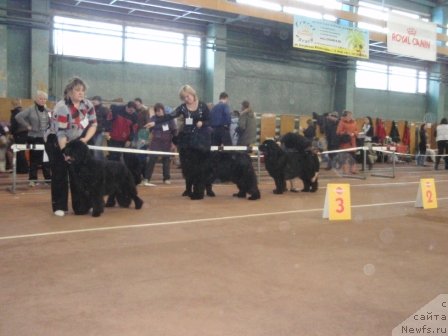 Фотография № 59784