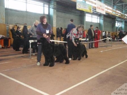 Фотография № 59785