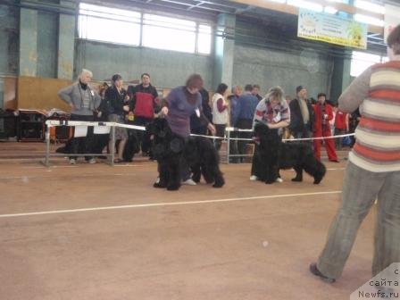 Фотография № 59786