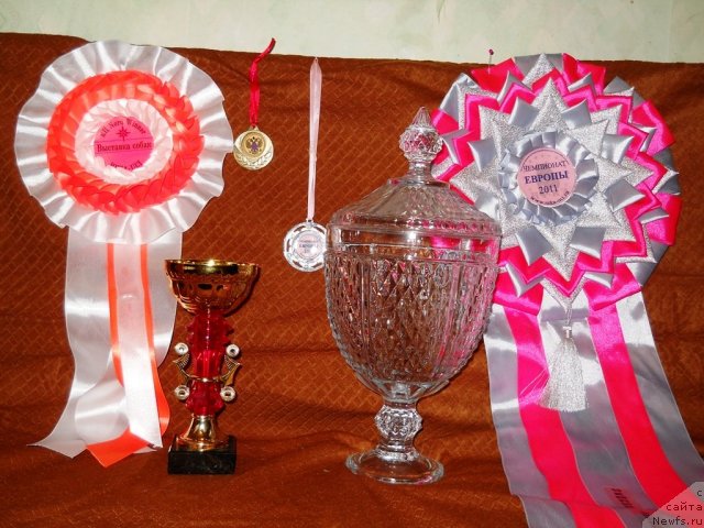 Фотография № 59797