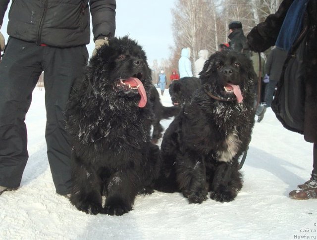 Фотография № 59921