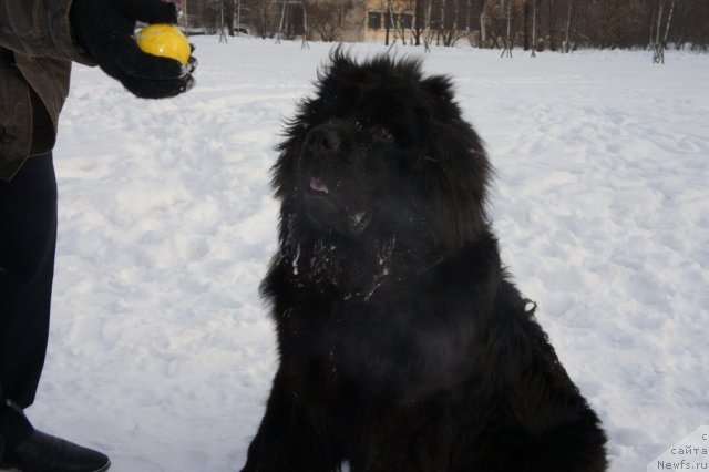 Фотография № 59927