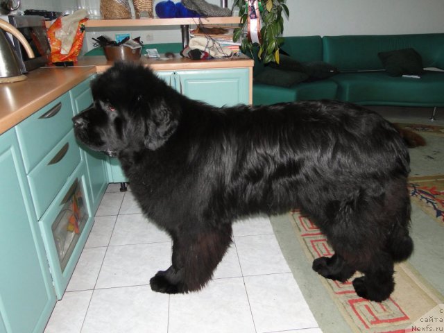 Фотография № 60002