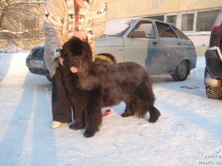 Фотография № 60019