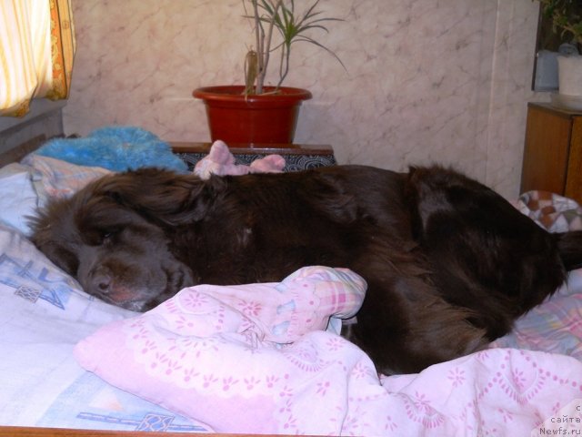 Фотография № 60072