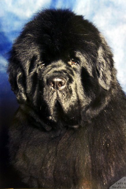 Фотография № 60075