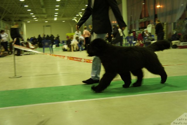 Фотография № 60081