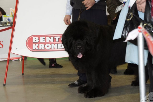 Фотография № 60087