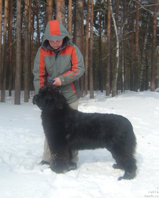 Фотография № 60091