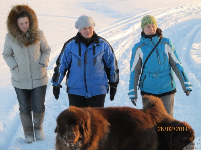 Фото: ньюфаундленд Komandor iz Medvej'ego YAra (Командор из Медвежьего Яра), ньюфаундленд Koketka ot CHannel iz Medvej'ego YAra (Кокетка от Чаннел из Медвежьего Яра), Ekaterina Plotnikova (Екатерина Плотникова), Natal'ya Gostyuhina (Наталья Гостюхина), Irina Nistratova (Ирина Нистратова)
