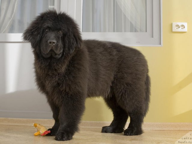 Фотография № 60148