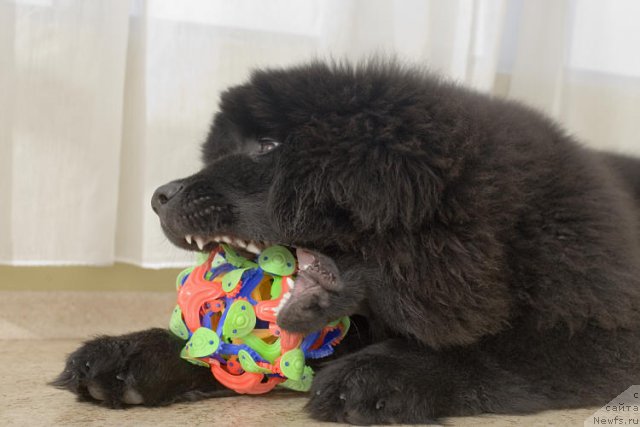 Фотография № 60149