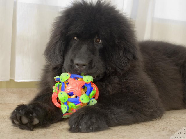 Фотография № 60151