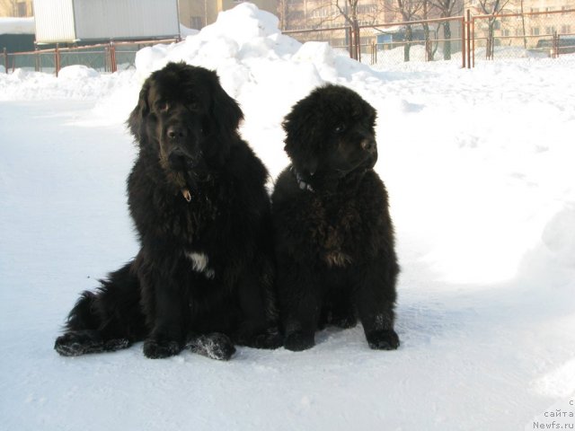 Фотография № 60156