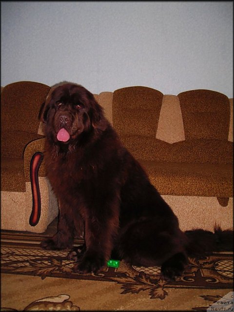 Фотография № 60173