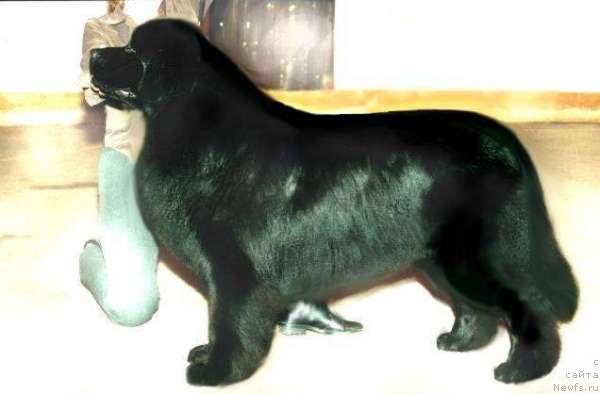 Фотография № 602