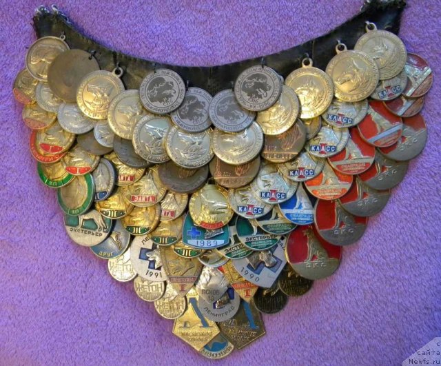 Фотография № 60244