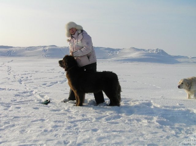 Фотография № 60253