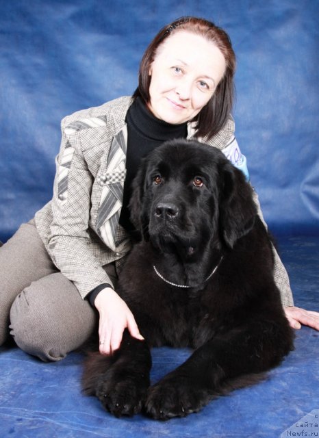 Фото: Ol'ga Koroleva (Ольга Королева), ньюфаундленд Beguschaya po Volnam Harizma (Бегущая по Волнам Харизма)