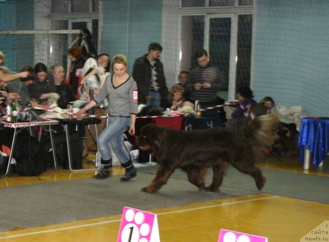 Фотография № 60268