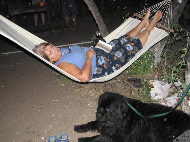 Фото: ньюфаундленд Ottava (Оттава), Marina Turapina (Марина Турапина)