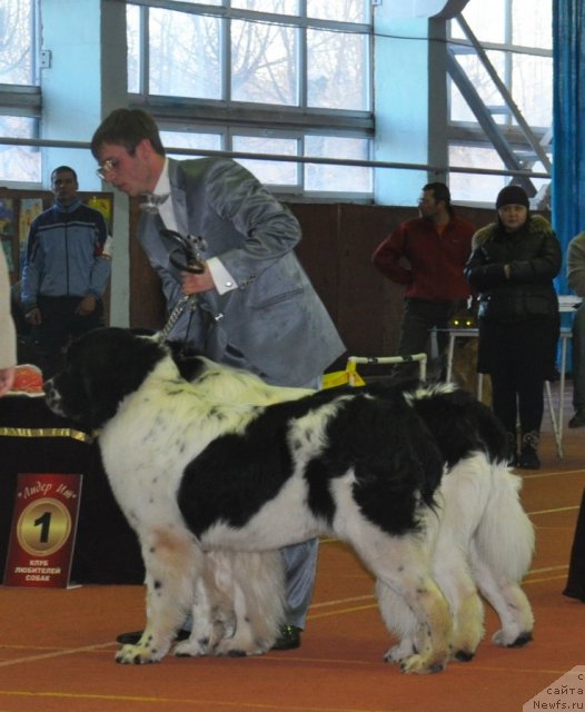 Фотография № 60300