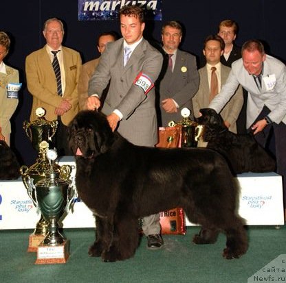 Фото: ньюфаундленд New Wave Skippers King of Helluland