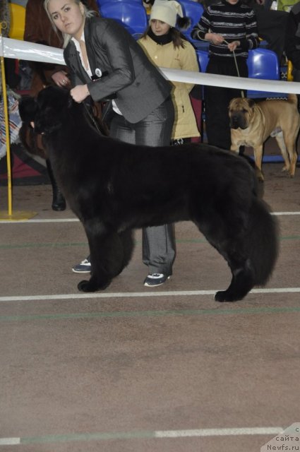 Фотография № 60306