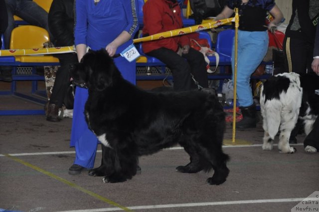 Фотография № 60308