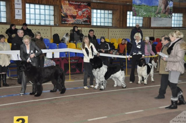 Фотография № 60310