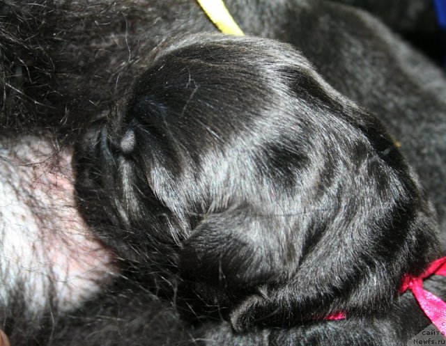 Фотография № 60315