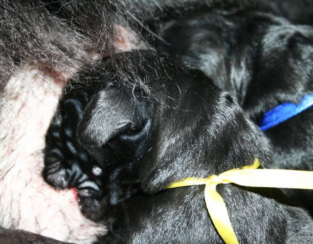 Фотография № 60316