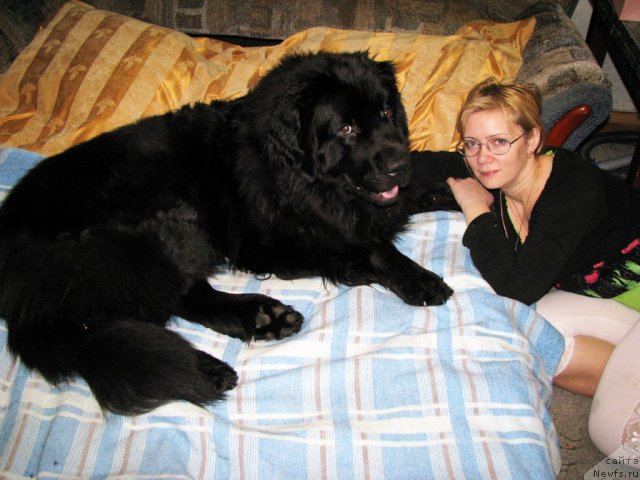 Фотография № 60326