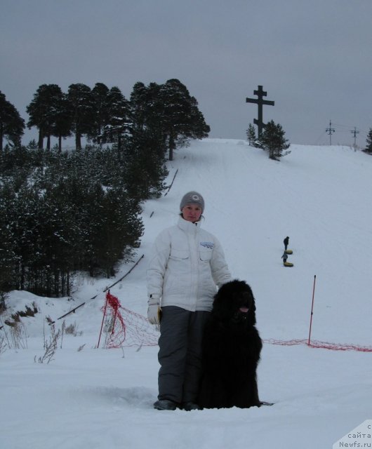 Фото: ньюфаундленд Ivan Tsarevich iz Tihogo Omuta (Иван Царевич из Тихого Омута), Irina CHistyakova (Ирина Чистякова)