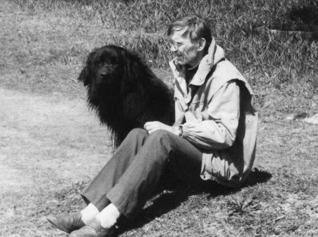 Фото: ньюфаундленд YEl'lor Lorens (Эльлор Лоренс)