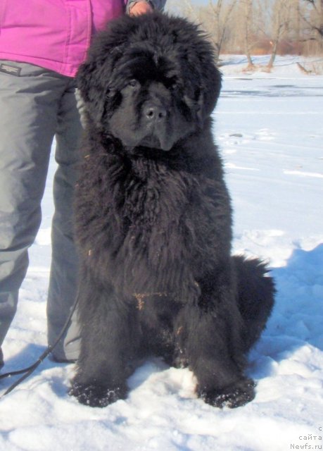 Фотография № 60417