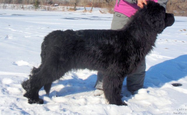 Фотография № 60418