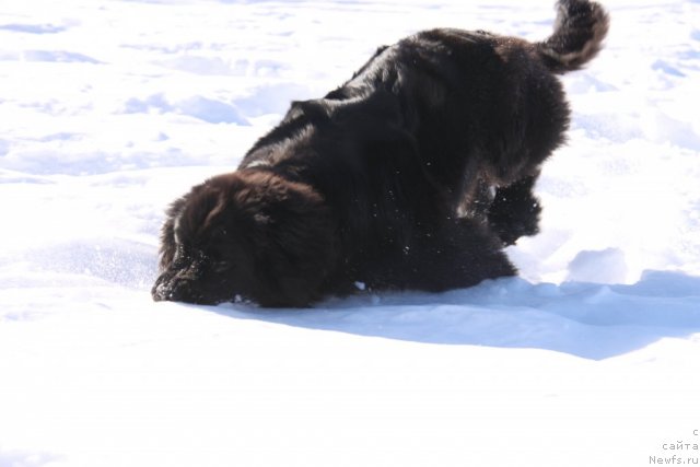 Фотография № 60433